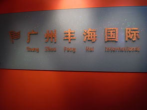 廣州市豐海貿(mào)易公司 開(kāi)啟高效便捷的網(wǎng)上貿(mào)易代理服務(wù)