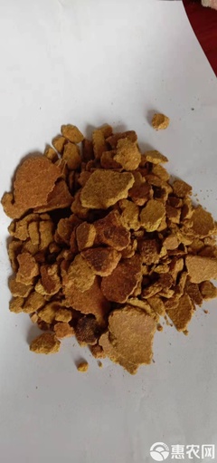 玉米餅與飼料 一種作物的雙重角色